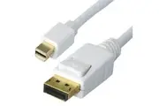 Astrotek Mini DisplayPort DP to DisplayPort DP Male to Male White Converter Cable - 1m