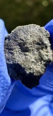meteorite: Ait Saoun, Prob. EH3/4 0.469 grams. Oriented With Foamy Golden Crust
