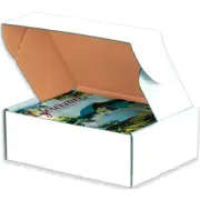 Aviditi Deluxe Literature Mailing Boxes, 13 x 10 x 4 Inches, Pack of White