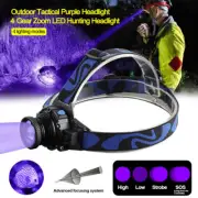 395nm UV LED Headlamp Purple Light Headlight Head Torch Hunting Camping Lamp