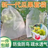 在飛比找蝦皮購物優惠-熱賣免運✅ 水果紗網袋 防蟲網 水果套袋 防蟲網袋  園藝器