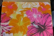 Target Decor NEW Plastic Vinyl Placemats Set Of 6