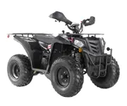 Apollo RFZ Commander 200cc Farm Quad Bike - Black