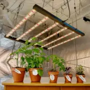 Spider 4500W Dimmable LED Hydroponics Indoor Grow Light Full spectrum Grow Lamp