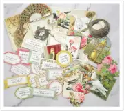 Anna Griffin FEATHER SENTIMENTS & EMBELLISHMENTS | 30 Get Well & Bird Stickers