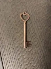 MTA skeleton key.Not real ones the conductors/ operators but they work the same.