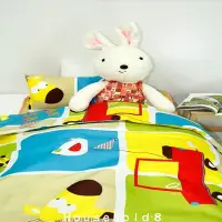 在飛比找Yahoo!奇摩拍賣優惠-台灣製 兒童睡墊 涼被 枕頭三件組 詢問度超高 安親班 幼稚