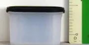 Tupperware Modular Mates Oval Magnet Frosted Base Black Seal New