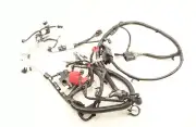 NEW Motorcraft Battery Cable Assembly WC-96510 Ford Edge 2.0L Turbo 2016