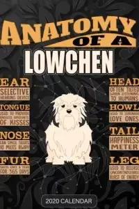 在飛比找博客來優惠-Anatomy Of A Lowchen: Lowchen 
