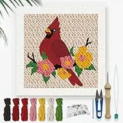 DOODLREAM Cardinal Bird Embroidery Set for DIY Punch Needle Adults Beginners 24 cm Punch Stitching Craft Set Bird on The Branch Beginner Frame Fabric Pattern Threader Yarn Squeeze Needle