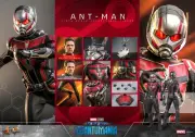 In Stock Hot Toys MMS690 Ant-Man and the Wasp: Quantumania - Ant-Man 1/6 Figure！