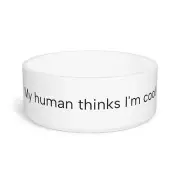 "My human thinks I'm cool!" Pet Bowl