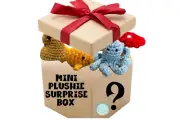 Mini Plushie Surprise Box