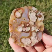 Flower Agate Slice Slab Minerals Stones Druzy Natural BONUS Info Card