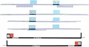 Padarsey (076-1444) LCD Display Screen Adhesive Strips Tape Compatible for iMac 27" A1419 (Late 2012- Mid 2017)