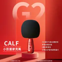 在飛比找PChome24h購物優惠-【CALF 唱吧】G2 小巨蛋麥克風