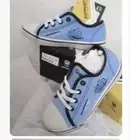 Cronulla Sutherland Sharks NRL CANVAS SHOES Senior 3 Official Product Sharkies