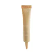 Clarins Everlasting Concealer - # 02.5 Medium 12ml/0.4oz