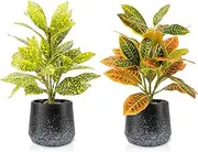 2 Pack Realistic Artificial Potted Plants Codiaeum Variegatum, 11.8" Small Faux Greenery for Desk, Bathroom, Office, or Home Decor (Evergreen, Maintenance Free)