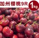 【甜露露】 加州櫻桃9R (1kg±10%/盒) ,預計5月7-5月9日出貨