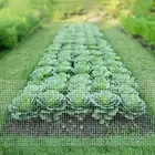 36x50 ft Hardware Cloth 1/4 Inch Square Galvanized Chicken Wire Welded Fence ...