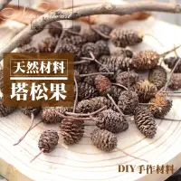 在飛比找松果購物優惠-[台灣出貨] 天然乾燥塔松果粒 乾果 聖誕節 花圈 DIY材