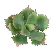 Artificial Succulent Plant 7.08 Inch Faux Succulents Agave potatorum Green