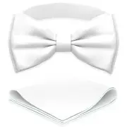 Men's Bow Ties with Handkerchief Pre-Tied Style Formal M - (children) 2 White
