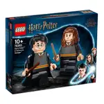 二拇弟 樂高 LEGO 76393 HARRY POTTER 哈利波特&妙麗格蘭傑