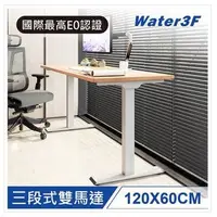 在飛比找Yahoo!奇摩拍賣優惠-【耀偉】樂歌Loctek 人體工學 電動升降桌DF1+/DF