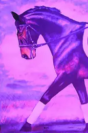 Giclee HORSE PRINT DRESSAGE Art CAPER by artist BETS 5 COLORS print size 14 X 19