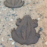 Cast Iron Frog Garden Stepping Stone
