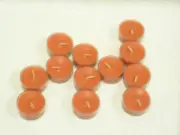 Partylite Persimmon Cider Tealights -- RETIRED