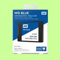 在飛比找Yahoo!奇摩拍賣優惠-5Cgo【權宇】WD SSD Blue 250G固態硬碟3D