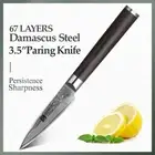 Paring Knife 67 Layers Damascus Steel Wood Handle Premium Fruit Slicing Utility