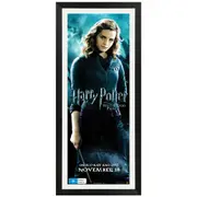 Harry Potter and the Half-Blood Prince - Hermione Promotional Vintage Daybill Poster Framed