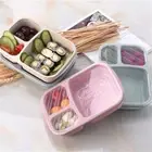 Compartmentalized Picnic Storage Boxs Lunchbox Lunch Box Food Fruit Container