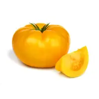在飛比找蝦皮購物優惠-黃金牛番茄種子~ Beef Tomato