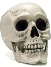 JOYIN Halloween Skeleton Decor, Life Size Human Skull 6x5.5x7.5”
