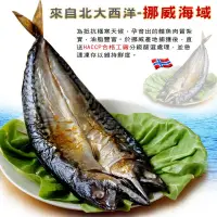 在飛比找蝦皮商城優惠-【海之醇】挪威鯖魚一夜干300-350g