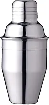 Delidge Cocktail Stainless Steel Wine Shaker with Strainer and Lid Top, Single Martini 8.4oz（250ml） Silver