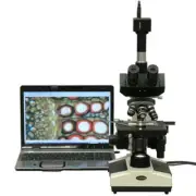 AmScope 40X-1600X Doctor Veterinary Clinic Compound Microscope + 1.3MP Camera