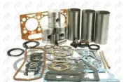 Engine Overhaul Kit for Massey-Ferguson Tractor MF 35 50 203 205 Perkins 3.152
