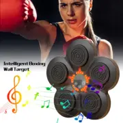 Wall Mounted Music Boxing Target Pads Rechargeable w/LCD Child Christmas Gifts