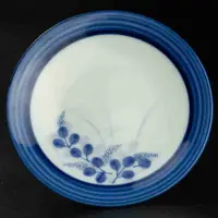 在飛比找有閑購物優惠-日式陶瓷青花手繪花草盤子 小碟子