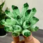 312G New Find green PhantomQuartz Crystal Cluster MineralSpecimen