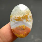 Natural Moss Agate Cabochon 26x18x5mm High Quality 19 ct