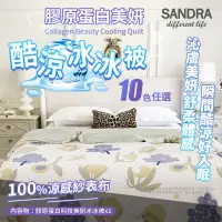 在飛比找環球Online優惠-【Sandra仙朵拉】膠原蛋白冰冰被 10款任選(150*2