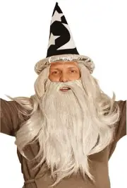 Wizard Wig and Long Beard with Wizard Sorcerer Costume Hat - All Included